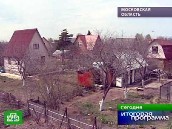 Секреты дачного выживания