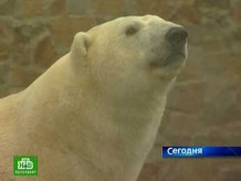 �&nbsp;��������� �����&nbsp; �����������