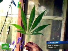 �&nbsp;����������� ��������� ���������� ��� 