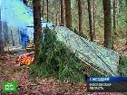 � ������� ������� ���������. ������������ ��� ���������� ������������ � ���, ��� ���������� ������� �������� �������������� � ��� �����, ��� � �����. ����� ��� �������� ���� ��� ����� ��������� ����� ����������. C������� ������ �� ���