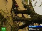 �� ����� ��� ������� ������. � ���������� ����������� ����������� ������. �� ����������� ����� �� �������� ����� ��������� ������ ������� � ���� ��������. ���������, ������, �����-���������, ���������, �����. C������� ������ �� ���
