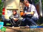 ���������� ���� �������� � ��������� �����. � ����� ���������� ������, ���������� � ���������� ������ ����������� ���������� ������������. ���������, �������, ����������, ��. C������� ������ �� ���