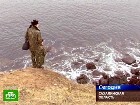 ������� ��������� �������� ��-142. ��������� ������� �������� ������������ ��-142 � ��������� ������� ���������� ������������� �������� �������������� �����. ��������������, ����� ������, ��-142, ����. C������� ������ �� ���