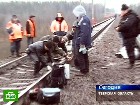 Оперативники нашли взрывчатку на месте аварии. Эксперты из Следственного комитета при прокуратуре нашли неопровержимые доказательства того, что причиной крушения «Невского экспресса» стал теракт. горячая линия, железные дороги, катастрофы, МЧС, Невский экспресс, Новгородская область, РЖД, Санкт-Петербург, Шойгу. НТВ.Ru: новости, видео, программы телеканала НТВ Оперативники нашли взрывчатку на месте аварии. Эксперты из Следственного комитета при прокуратуре нашли неопровержимые доказательства того, что причиной крушения «Невского экспресса» стал теракт. горячая линия, железные дороги, катастрофы, МЧС, Невский экспресс, Новгородская область, РЖД, Санкт-Петербург, Шойгу. НТВ.Ru: новости, видео, программы телеканала НТВ