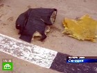 ������� ������� ��������������� ��-142. ������������ � ��������� ������� ������� ����������� �������� �������� ��-142, ������� �������� 6 ������. ��������������, ����� ������, ��-142, ����. C������� ������ �� ���
