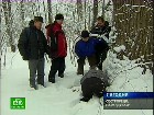 � ������� �������. � ���������� ���������� ��� ���������� ���������. ����, �����, �����-���������, �����. C������� ������ �� ���