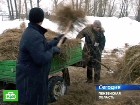������ �� ������. � ������ ���������� ������� ������ �������� ������ ����� ������ �������� ����� � ������-�����. ���������������� ���� �������. ���� ���� �� �� ������ �������, � �� ������� ������������������� ������������. ������, �����������, ���������� �������, �������� ���������, �������, �����. C������� ������ �� ���