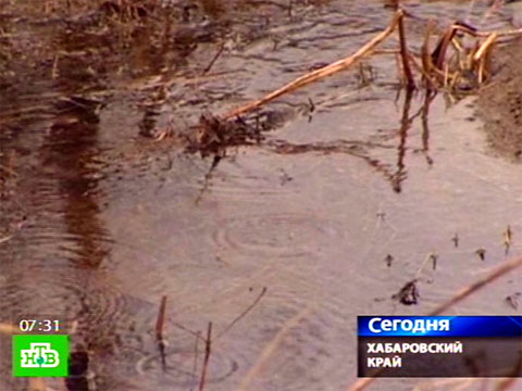 Видеоновость: Посевные поля превратились в болота