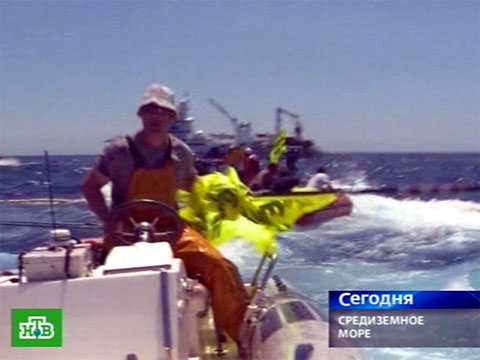 Видеоновость: «Зеленые» вступили в морской бой с рыбаками