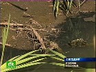����� ���������� ������ �� ������. � ������������ ���� ������� �������� ����������� ����� �������������� ��������. �������� ����� ����������� ���� �����, ����� ������ � ����� ����� ��������������� �������� �������. �������, ���������, ������������� �������, �����-���������, �����, ��������. C������� ������ �� ���