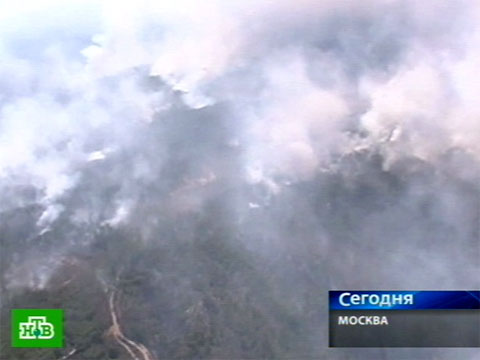 Видеоновость: Медики призывают не выходить из дома