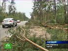 Ленобластть переживает последствия урагана. В результате разгула стихии в Северо-Западном регионе шесть человек погибли, в том числе двое подростков. Без электроэнергии остались более 300 населенных пунктов. железные дороги, Ленинградская область, отключение электричества, погода, стихия, ураганы. НТВ.Ru: новости, видео, программы телеканала НТВ Ленобластть переживает последствия урагана. В результате разгула стихии в Северо-Западном регионе шесть человек погибли, в том числе двое подростков. Без электроэнергии остались более 300 населенных пунктов. железные дороги, Ленинградская область, отключение электричества, погода, стихия, ураганы. НТВ.Ru: новости, видео, программы телеканала НТВ