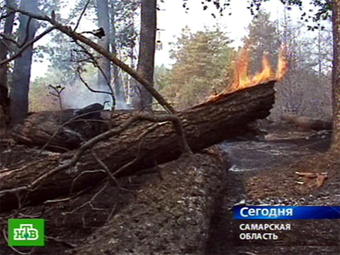 Видеоновость: Тольятти попал в сводки МЧС