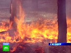 ����� �������� ���������� �������. � ������������� ������� ����� ��������� ��������� ������. ������������� �������, ������, ������, ������ ������. C������� ������ �� ���