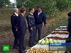 �������� ������ � ������. ����������� �� ������� ��� ��������� �������������� �����. �� ���� ������ ������� ������� �������� � ����������� �������. ����������� �������, ������, �����, ��������, ��������, ������ � ����. C������� ������ �� ���