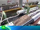 «Препрег-СКМ» расширяет производство. Компания «Препрег-СКМ» из подмосковного Климовска производит, как несложно догадаться специалистам, такой материал, как препрег (волокна углерода, пропитанные специальными смолами). инновации, инноград, компании, технологии. НТВ.Ru: новости, видео, программы телеканала НТВ «Препрег-СКМ» расширяет производство. Компания «Препрег-СКМ» из подмосковного Климовска производит, как несложно догадаться специалистам, такой материал, как препрег (волокна углерода, пропитанные специальными смолами). инновации, инноград, компании, технологии. НТВ.Ru: новости, видео, программы телеканала НТВ