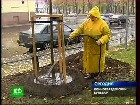 ������ ���������� �� ������. � ����������� �������� ���������� ���������� ������������ ����������� � ��������������� ������. ������, ������� ��������� � ������ �����������. ���������������, ���������� �����-����������, �������, ���������, ������, �����-���������, ���������. C������� ������ �� ���
