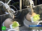 ������ � ���� �� ������ � ��������. ������� �� ������ �������� � ���������� ������� ����� ���� � ���������� ���� � ����������� ������. ���� ������ �� �������� ����, ������ ������������ ������� ����������� �������. �������������, ��������, �����-���������, ��������. C������� ������ �� ���