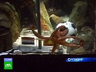 � �������� �������� �������� ��������� �����. �������� ����������� ���������-�������� ������� � ��������. �������� �� ����� ����� ������������ ������������� ����������� ����������. ��������, ��������, �������, ���������. C������� ������ �� ���