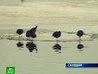 ���������� ������ ������ ����������? ���������� �������, ��� �������� ������������� ��������� ��������� � ����� �� �������� ����. �������, ��������, ����������, ����-�����, �����-���������, �������������, ������, ��������,  �����-�����. C������� ������ �� ���