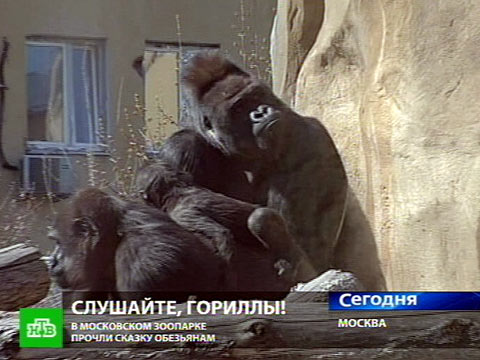 Книга без москвы читать онлайн