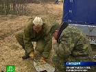 ����� ������ ������ �� ���������� �������. ���������� ���������� ����������� ����� ��������� � ����������� ���������� ��������� ����������� � ������������� �������. ������� ������������� �����, ���� ������, ������������� �������, �������� ����, ��������� ��������, ���������. C������� ������ �� ���
