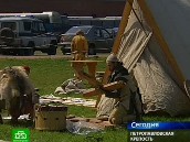 Викинги захватили Петропавловку