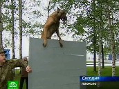 ��������� ������ �������� �����