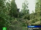 �����, �������� ������� � ����. � ������� ��� �������� ��������������� ���� �������� ��������� ���������� �����������. ����� ������, ������, �������� ������� �����, ������������� �������, ���������� ������. C������� ������ �� ���