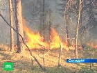 �� ������ � ����� ������� �������. ������� ������ ������� � ������ �� ����� ������� ����� �� 450 ��������. ���������� ��� ����� �����, � �������� � ������ � �� ������� �������. ������������ ����, ������ ������, ���, ������, �������. C������� ������ �� ���