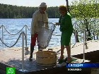 �� ������� �������. � ���������� ��������� ����� ��� ����� �����������. �����������, �����������, ���������, �������, �����-���������, ��������. C������� ������ �� ���