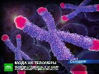 Анализ крови расскажет, сколько осталось жить. В мире становится модным новый анализ крови, при котором тестируют особые участки хромосом — теломеры. медицина, наука, США. НТВ.Ru: новости, видео, программы телеканала НТВ Анализ крови расскажет, сколько осталось жить. В мире становится модным новый анализ крови, при котором тестируют особые участки хромосом — теломеры. медицина, наука, США. НТВ.Ru: новости, видео, программы телеканала НТВ