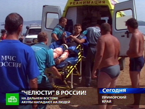 Видеоновость: За голову приморского чудовища объявлена награда