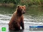 �� �������� ������� ����� ���� �������� �� �����. �� ������� ������� ������������� ����� �������: ����� �� ������� � ��������, �������� �� �������� ����� ������� �� ��������. ��������, ��������, �������. C������� ������ �� ���