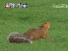 ����� �������� ��������� �� ���������� ����. �������-����������� ��������� ���� �������� ���� ��-�� �������� ������. � ������������ ��������� ���������� �����. �����, ��������, �������, ������. ���.Ru: �������, �����, ��������� ���������� ���