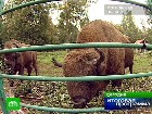 ���������� �������. ������ � ��������������� ����� ���������� ������? �� ���� ���� ���������� ���� ���� ���� � ������, ���� ������������ � �������� ������? �����������, ����, ����������, ����� � ������, �������, �������������, ������, ��������. C������� ������ �� ���