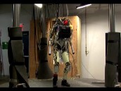 �������� ������ ������� �������-������. ������� ������ ����� � �������� �� ����������� ������ ������������ ������������� ��� ������������ ����������� ��������������. ����� ���, ��������, ������. ���.Ru: �������, �����, ��������� ���������� ���