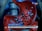 Россияне выращивают в своих телах микробов-мутантов