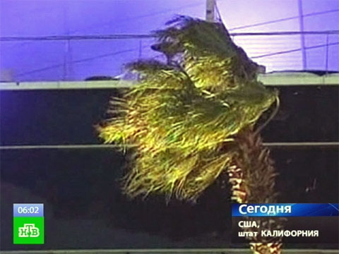 Видеоновость: Калифорнию терзает ураган