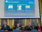 Московский врач обвиняет нобелевских лауреатов в плагиате. Врач «скорой помощи» Сергей Паталах утверждает, что нобелевские лауреаты по физике украли его идею о том, что Вселенная расширяется с ускорением. авторское право, космос, наука, Нобелевская премия. НТВ.Ru: новости, видео, программы телеканала НТВ Московский врач обвиняет нобелевских лауреатов в плагиате. Врач «скорой помощи» Сергей Паталах утверждает, что нобелевские лауреаты по физике украли его идею о том, что Вселенная расширяется с ускорением. авторское право, космос, наука, Нобелевская премия. НТВ.Ru: новости, видео, программы телеканала НТВ