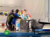 � ����� ����� ����� ���������� �����