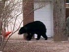 ������� ������� ������� � ������� ������ ����. � ���-������ �������� ���������� ����������� ������� ����� � ����. ��������, �������, �������. C������� ������ �� ���