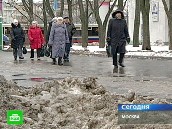 ������� ���� ���������� ���������� ����