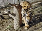 ���� �� �������� ��������� ������� � �������������. ���������� �������, ���������� ������, � ������� ��������� ��������� � ��������. ���������� ��������� ����. ����, ��������, �����. C������� ������ �� ���