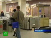 Собакам-поводырям вход разрешен