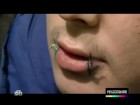� ���� ������� �������� ������������. ���������� ��������� ������������ ����������� �������� ����������� ��������� ����� � ��������. ������, ����, ���������, ��������, ������ � �������, ���������. C������� ������ �� ���