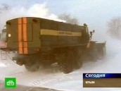 Крым не выдержал аномального холода