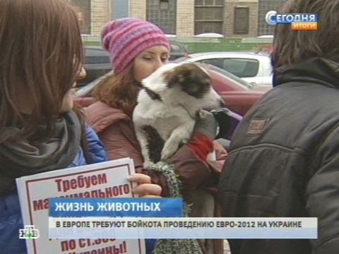 Малолетние живодеры превращаются убийц и маньяков Малолетние живодеры превращаются убийц и маньяков