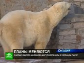 Новый зоопарк могут построить в Удельном парке