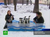Пингвины-циркачи прогулялись у стен Михайловского замка